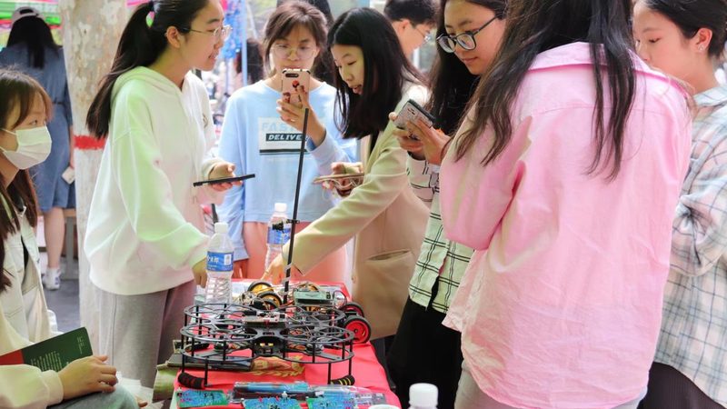 数据可视化表格：如何提升信息传达效率